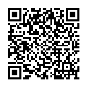 但她从未多想婆婆是要为十全大补汤做最后准备二维码生成