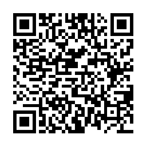 但她猜想民国高仿的青花瓶肯定比不过穆清远挑选的东西二维码生成