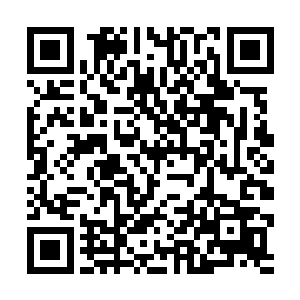 但她的血脉是那一道光剥离了诸多力量后留下的主体二维码生成