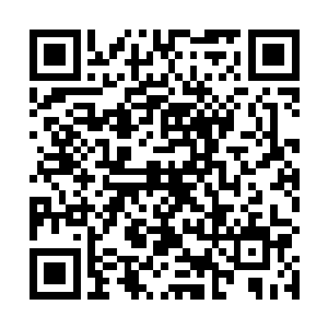 但她知道她一定是共享了本该完全由张潇晗承担的东西二维码生成