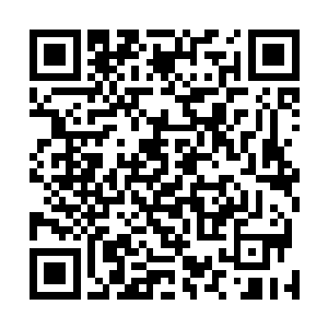 但她确实无法容忍丹尼尔如此惊心动魄的表演被罗伯毁掉二维码生成