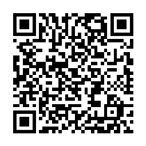 但如日中天的雨果显然是每一个人都渴望看到的对象二维码生成