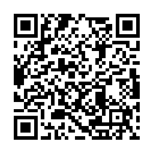 但孙悟空的金箍棒每一次砸将下来都有数万斤力道二维码生成