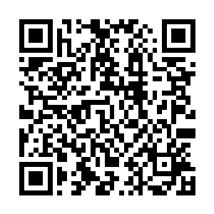 但宁家的现任家主宁玉全不想让家族的能力被天元窥探了去二维码生成