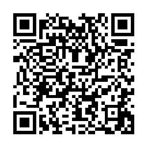 但它的那一只血冠却也是如同内丹一般珍贵的东西二维码生成