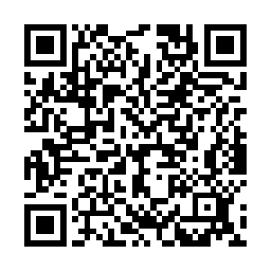 但实力却未必差太多的……真要是硬抗这两个人的气机二维码生成