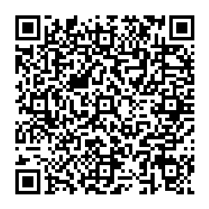 但家族上千年积累下来的底蕴尤其在布拉德当族长那几百年积累下来的底蕴可以说是十分的惊人二维码生成