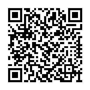 但对于但大多数被迫来到此地的传奇强者们来说二维码生成