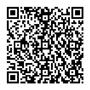 但对于团们的神国战士以及楚旬的妖兽异形军团而言却是用来提升修为实力的极好之物二维码生成