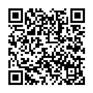 但对于当前的第一手情报却还是掌握得尽可能清楚二维码生成
