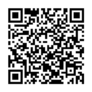 但对方却基本上默认了愿意按照李谦的理论和计划去做二维码生成