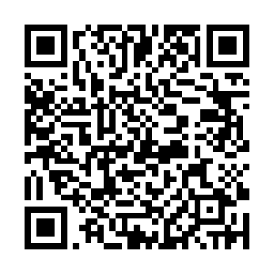 但对赌要有个彩头……一刻钟你证明不出我所谓幻术二维码生成