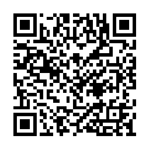 但封印一些实力堪比气力境的小野兽还是可以的二维码生成