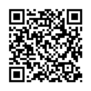 但尊敬并不代表她们就能眼看着凤羽珩被欺负二维码生成