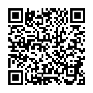 但就在利物浦球迷们憧憬他们第一座英超冠军奖杯的时候二维码生成