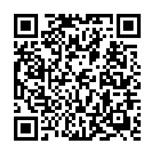 但已经见识过山巅风景的利物浦高层对他的要求也高多了二维码生成