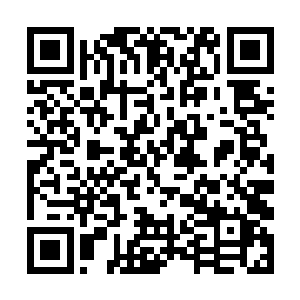但市场竞争简直变态……我家工厂投产有快四年了吧二维码生成