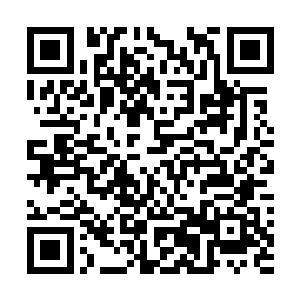但帝皇古墓的入口的确呈现出了高度的自组织性和目的性二维码生成