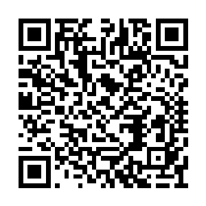 但张生却很快盯住了不远处一座不太高的建筑物二维码生成