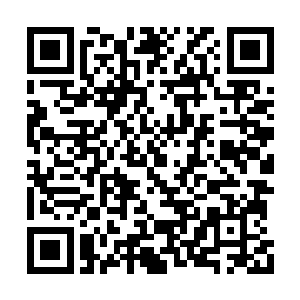 但当他将一枚距离自己最近的世界果采摘下来时二维码生成