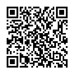 但当小星星的目光落到坐在右首的队长皮野绫身上时二维码生成