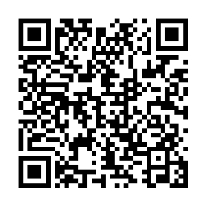 但当我明白萨尔维的意图之后――不知道该怎么说二维码生成