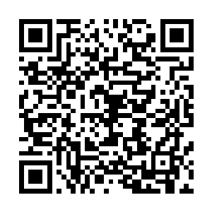 但当我是明星的时候――当下一部文艺片对我来说非常重要二维码生成