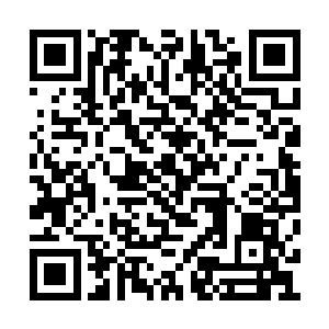 但当沙加做出第一个针对兵展会的障眼法的时候二维码生成