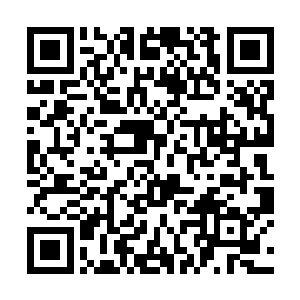 但当舌头上的味蕾收集到与大脑中储存相似的感觉时二维码生成