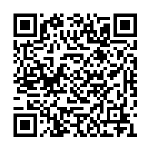 但总不能让苏墨尘做那个由于她糊涂而摧残的人二维码生成