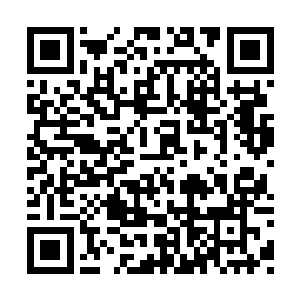 但总不至于高扬有个大事小情的都亲自陪着去吧二维码生成