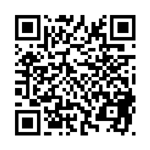 但总算是又耗费了狼瞳队5瓶蓝瓶二维码生成