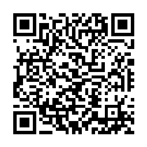 但总结起来就是李老师的儿子附身的黑猫来到了家里二维码生成