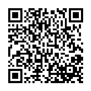 但情报组织不是一个家族或者某一个地下组织能够垄断的二维码生成