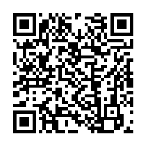 但惟独这玲珑火焰塔他从来没有在学宫内拿出来过二维码生成