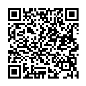 但感觉雷廷真的用意绝对不是真的希望双方化干戈为玉帛二维码生成