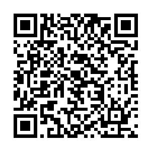 但我从不敢认为我能空手能干掉弯刀佣兵团的八个人二维码生成