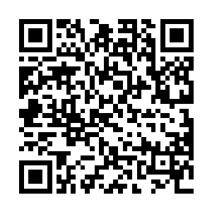 但我感觉飞天猫这个选手差的只是对线实力和比赛经验二维码生成