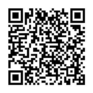 但我看到的却是雨果回来洛杉矶之后已经这么久了二维码生成