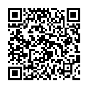 但所有人的目光却都集中在了这个胖乎乎的家伙身上二维码生成