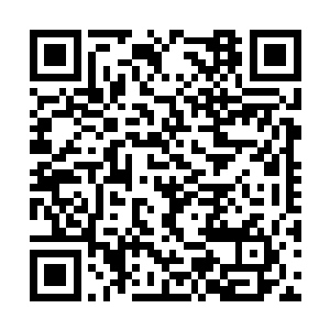 但披上一层外国人的皮有的时候会把事情闹大是吗二维码生成