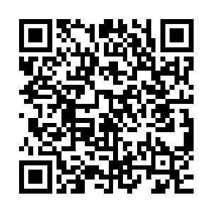 但数量最多的依旧是那些处于无极境八重天或是九重天的存在二维码生成