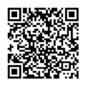 但整个沧溟大陆近乎所有家族和各人都不愿与之为敌二维码生成