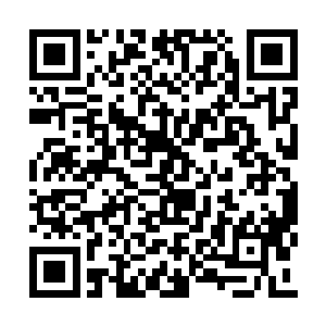 但无奈反派系统不停给他发布宠爱赵碧萱的任务二维码生成