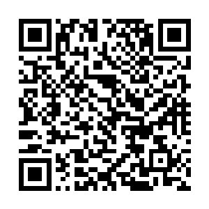 但是・苍茫大陆一脉的十个弟子为什么拒绝加入嫡系二维码生成