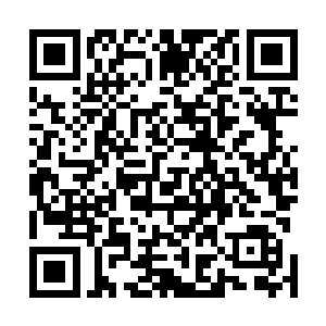 但是一个个兴奋的神情中都带着那种与生俱来的骄傲感觉二维码生成