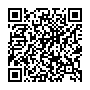 但是一想蛮横无理霸道嚣张的若青真人竟然没有表现不满二维码生成