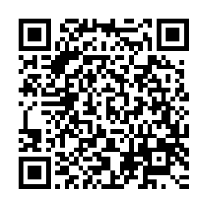 但是一旦混乱魔力本身有了意识――马文都不敢想象会发生什么二维码生成