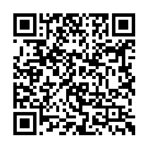 但是一次又一次的出乎意料却让他心里有些动摇二维码生成