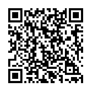 但是上车后阮荷黎觉得她的辉腾怎么和宝马差不多二维码生成